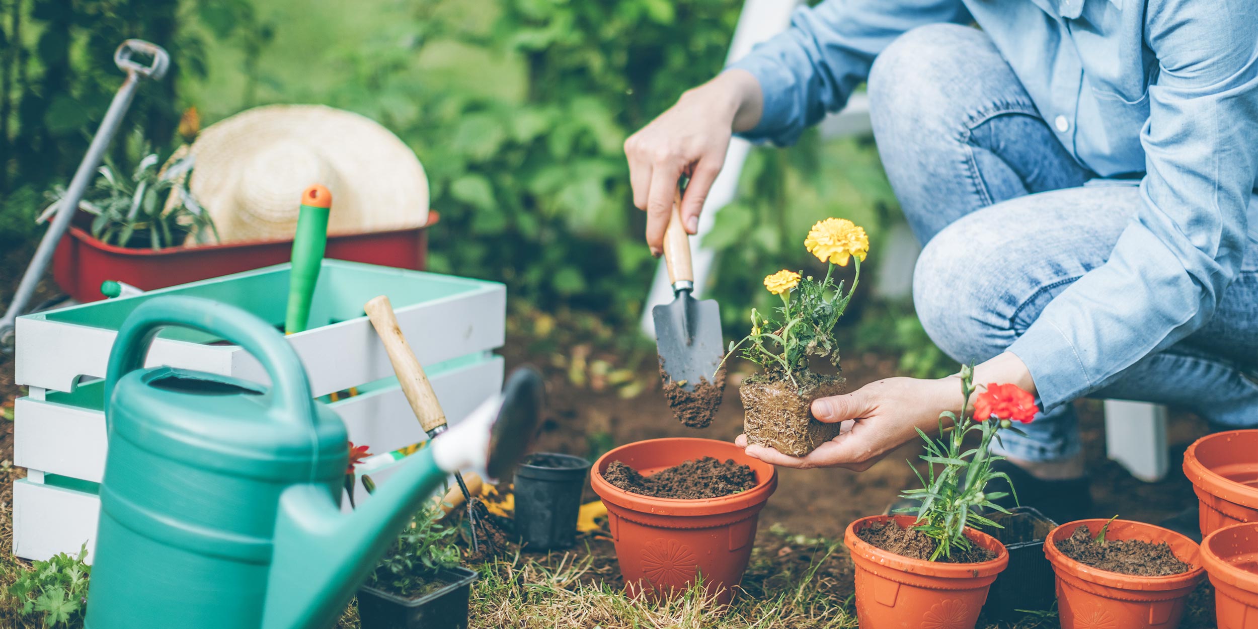 5 Best Gardening Products For Best Indoor Gardening Experience