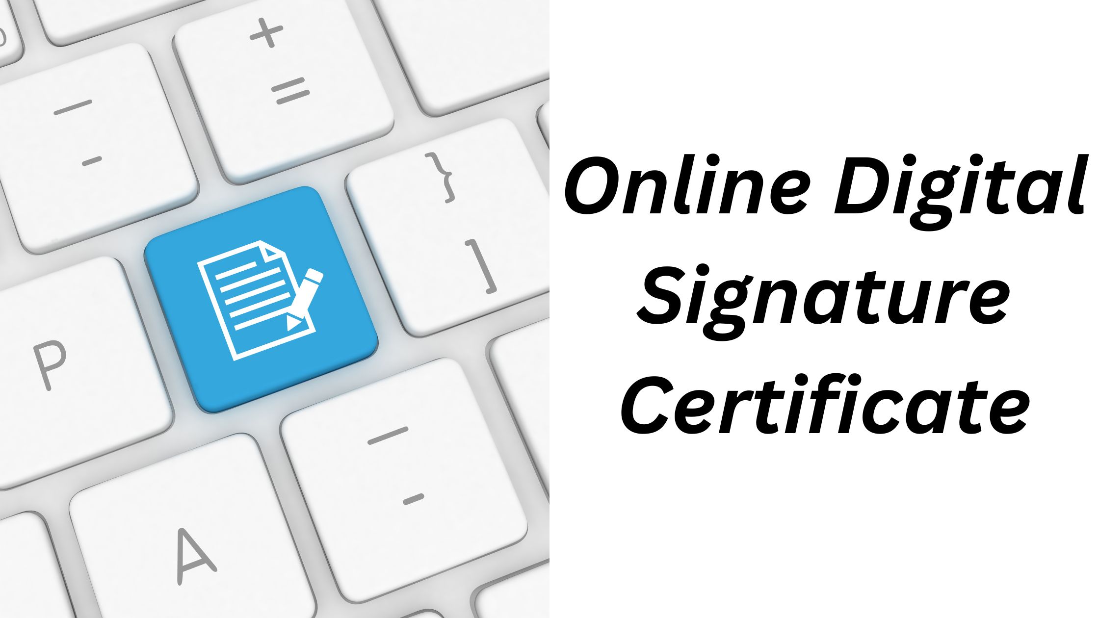 Online Digital Signature Certificate