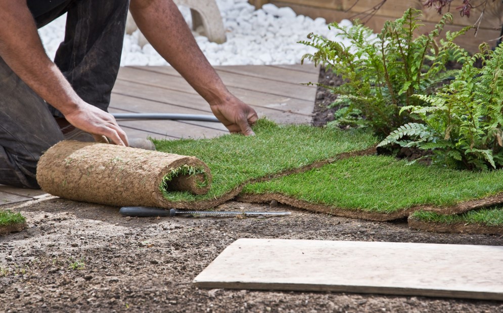 Questions to Consider Before Hiring a Home Landscaper