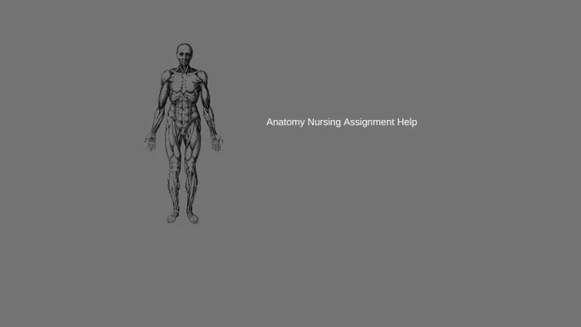 Anatomy Nursing Assignment Help from nursesessay.com